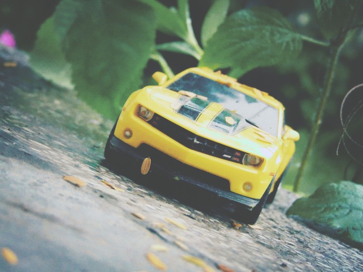 camaro