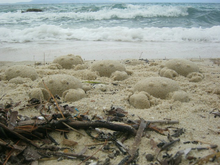 sea