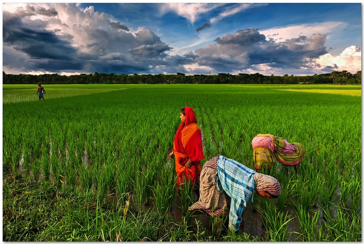 Bangladesh