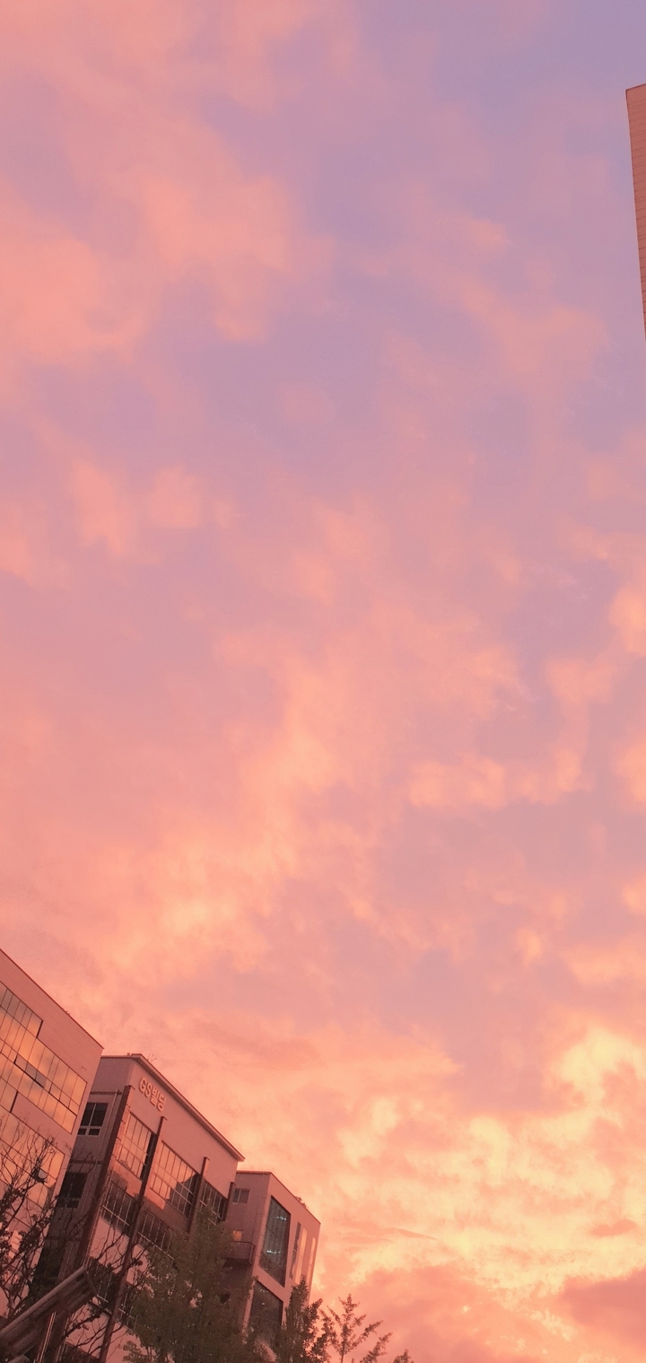 KOREAN SKY