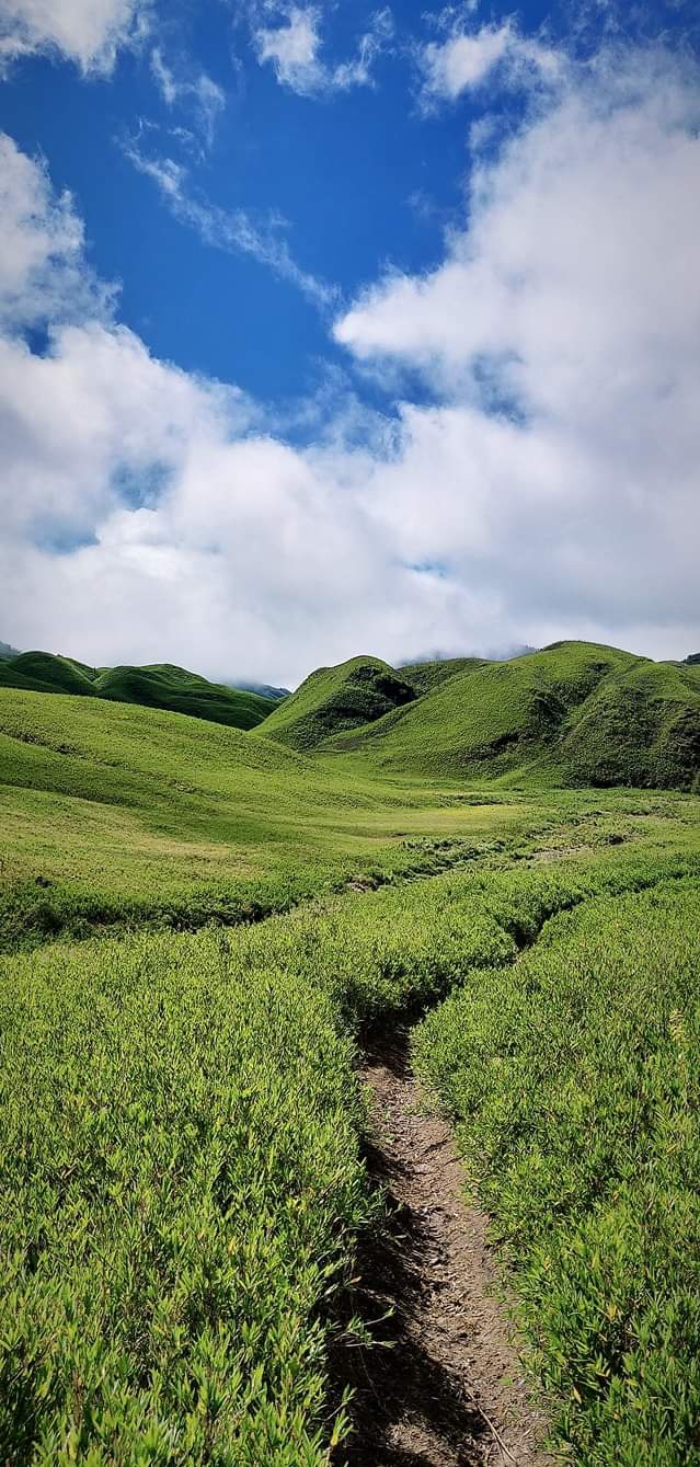 Nature