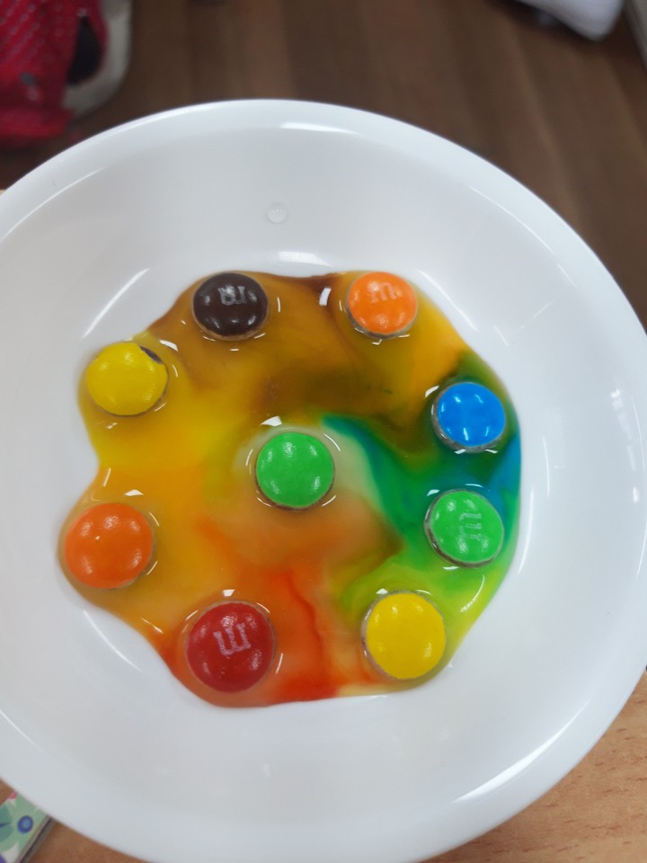 초콜릿