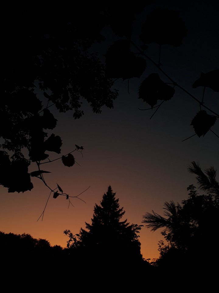 Evening