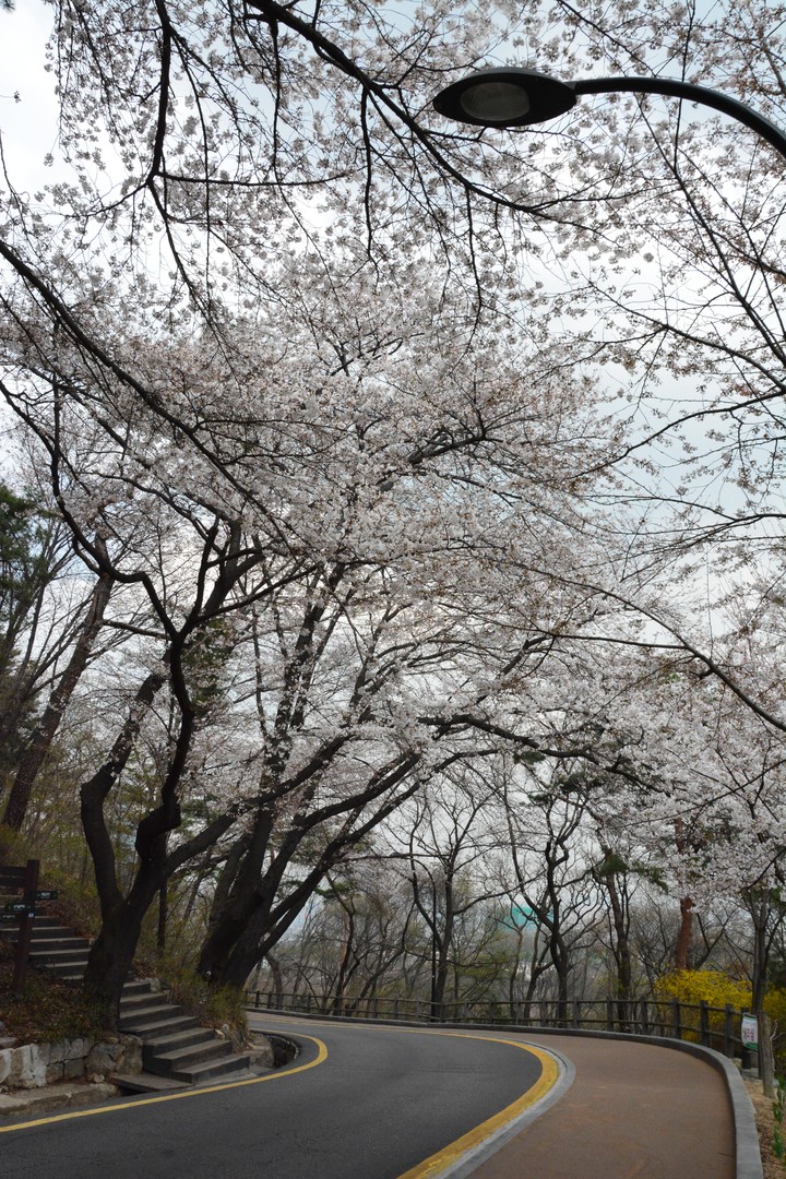 남산이미지