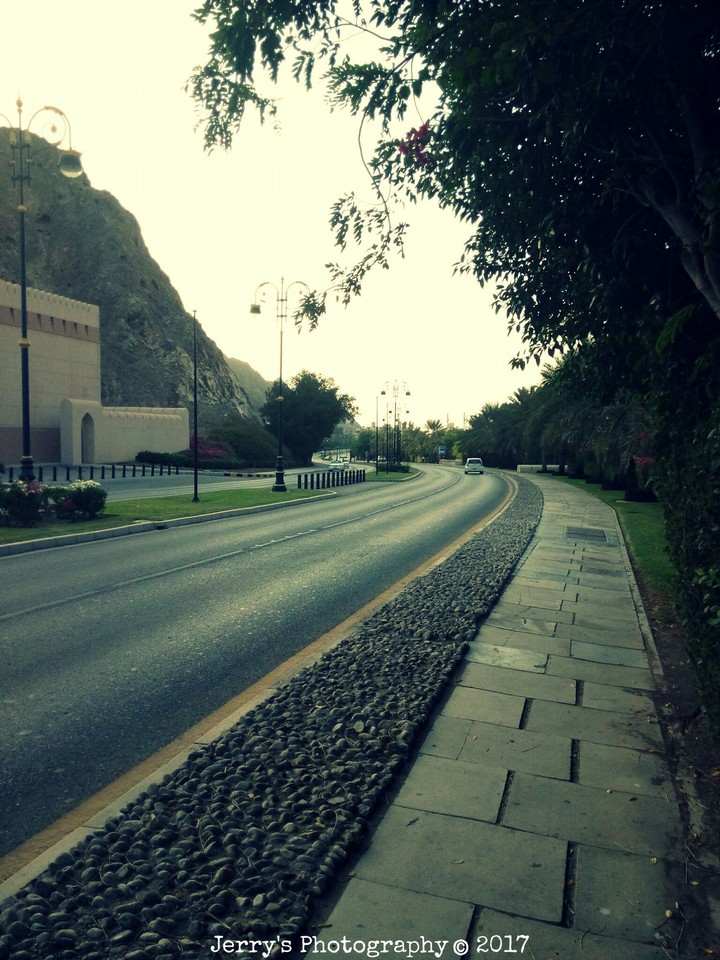 old muscat