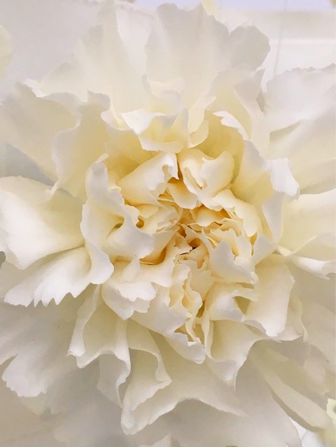 florart