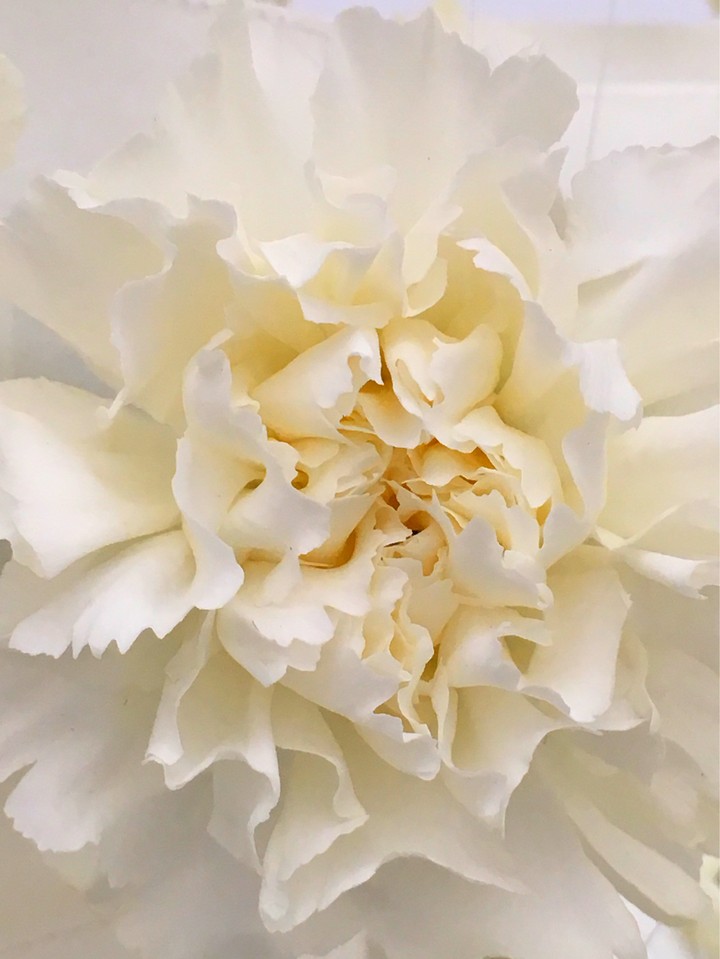 florart