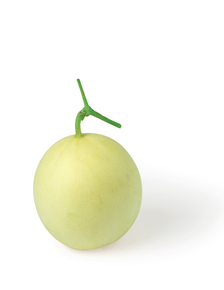 음식이미지
