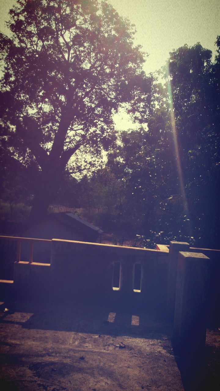 sunshine streak