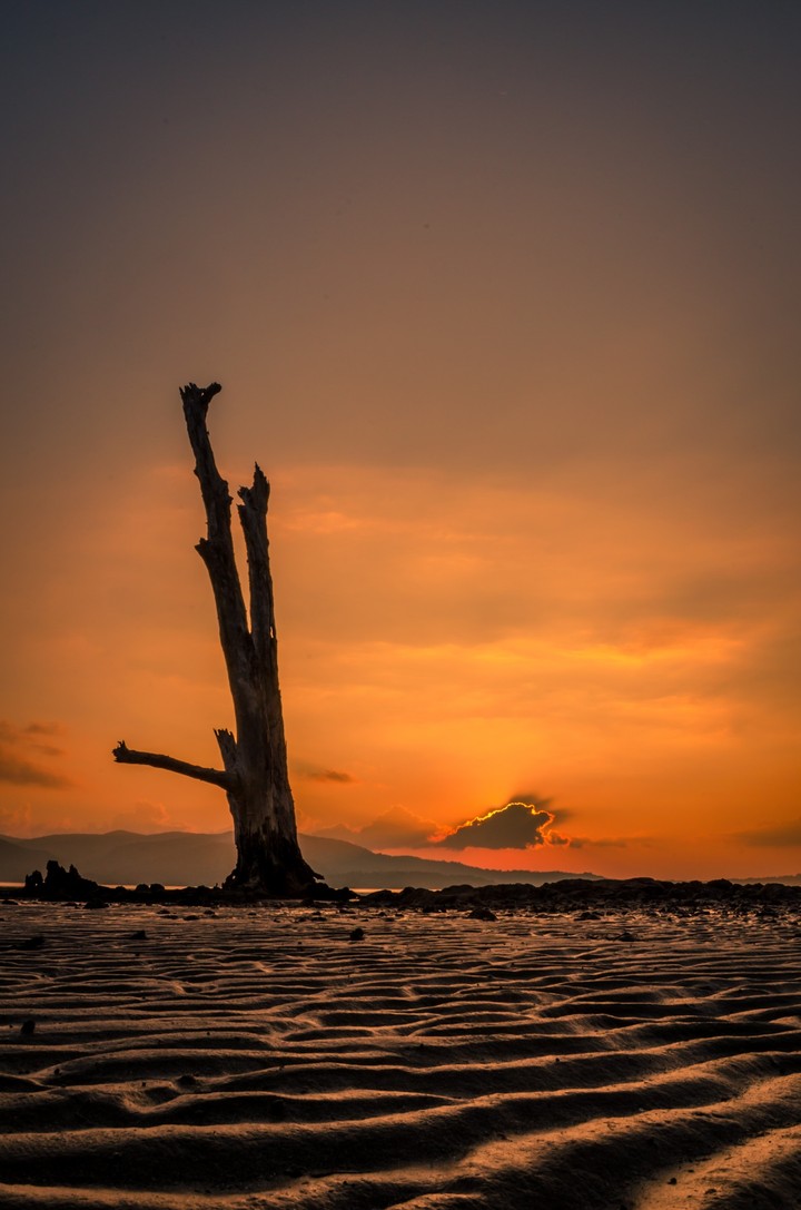 Beautiful Sunset
