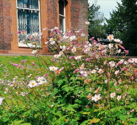 flowers outside building