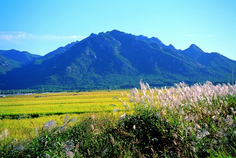 Asia Images