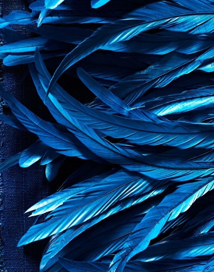 Feather