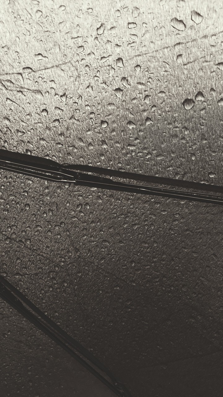 Raindrops on Umbrella