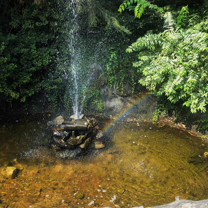 Rainbow