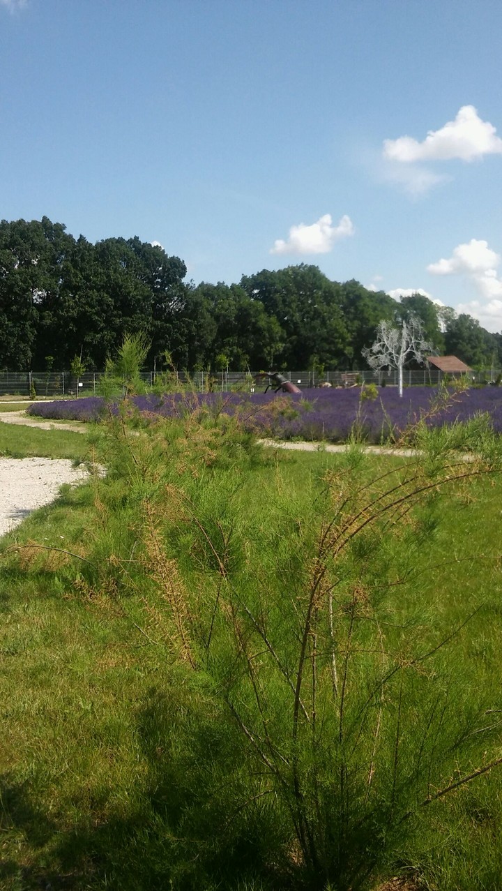 #Poznań #DeliPark ♡