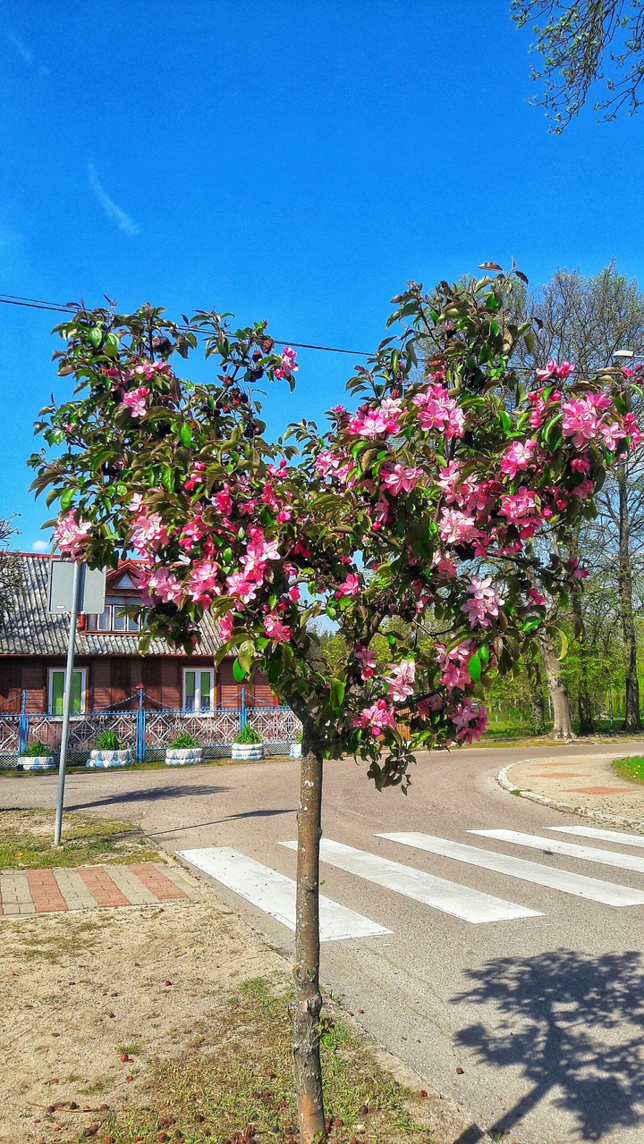 Spring in Poland