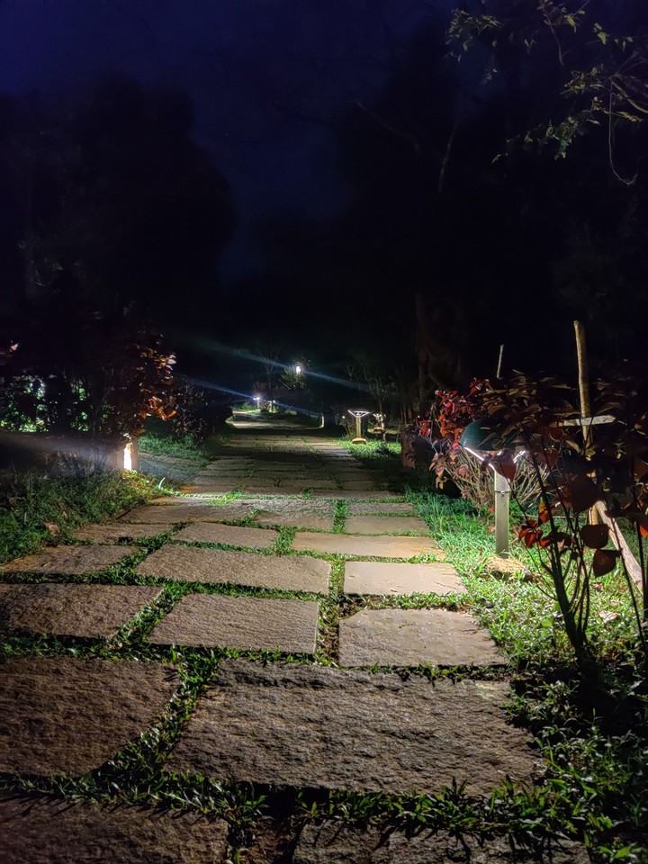 Green Path