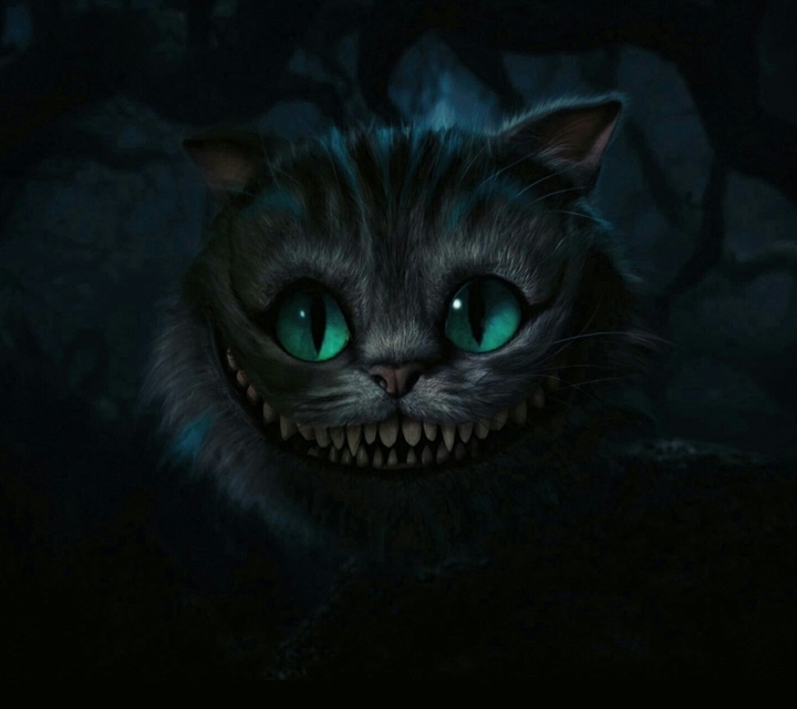 aaaa