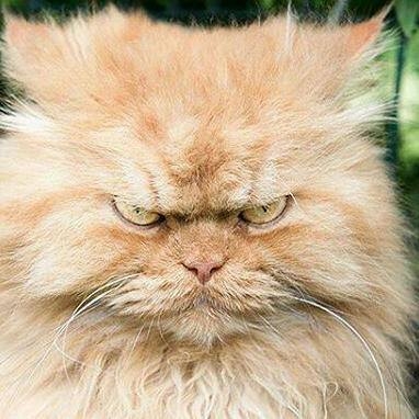 Angry