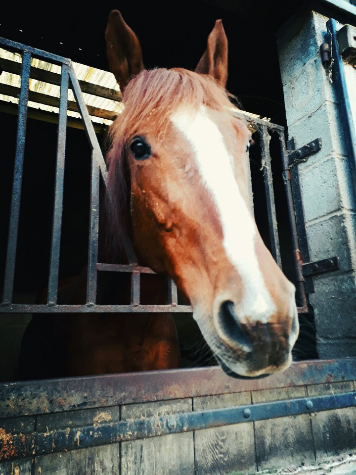 my baby