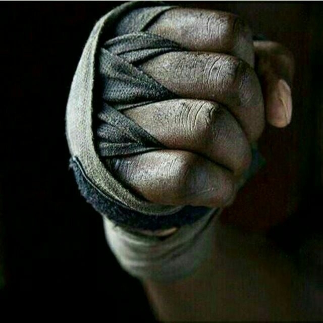 boxer