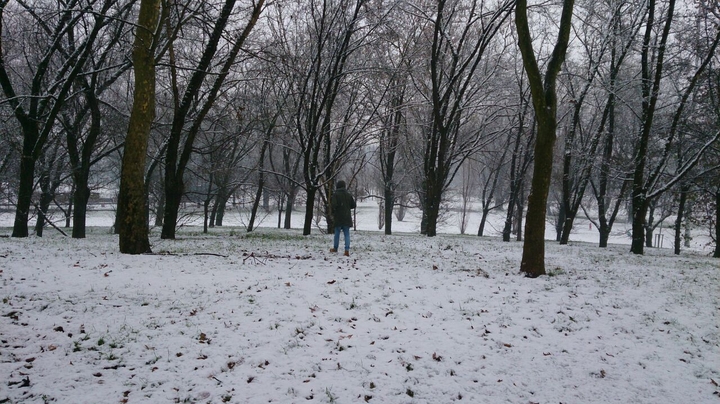 parco forlanini