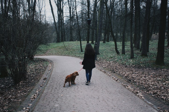 walk