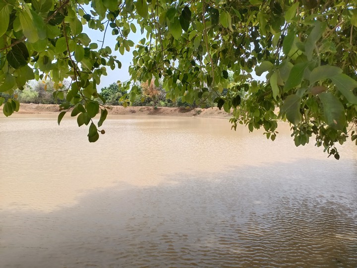 Lake