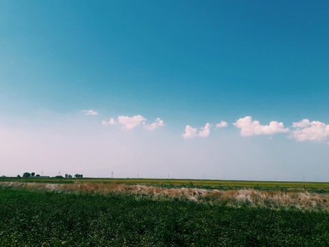 field