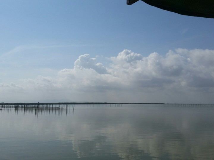 albufera