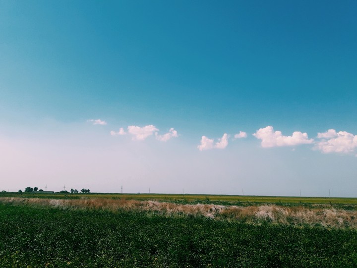 field