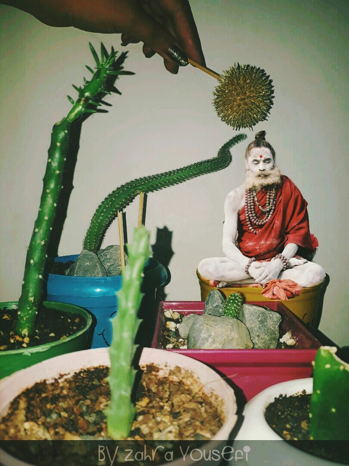 grow