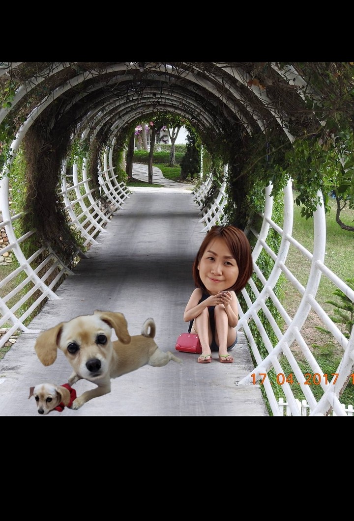 Mylove