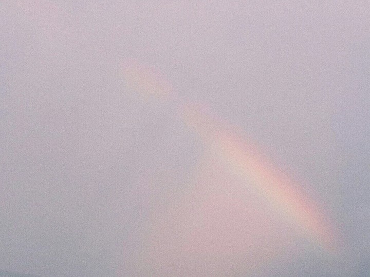 rain bow
