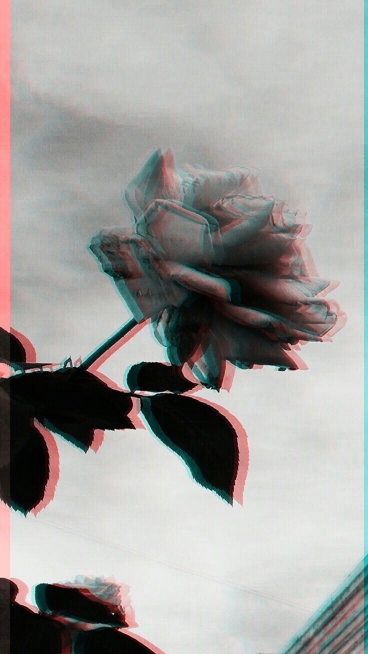 Wallpaper