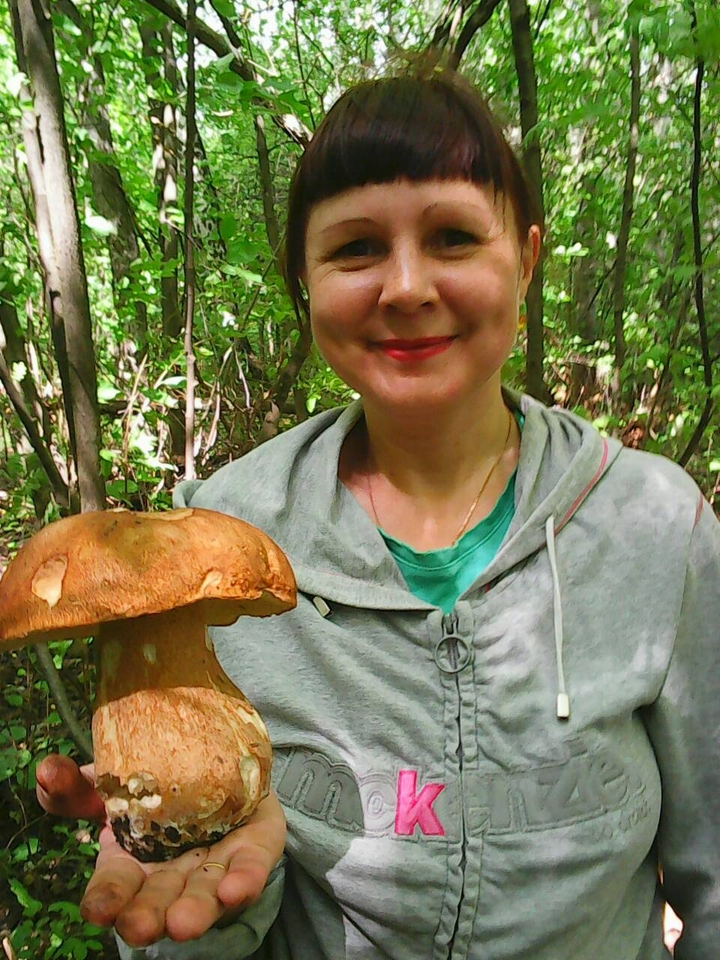 Гриб Гигант