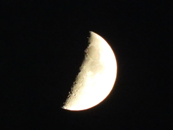 Moon