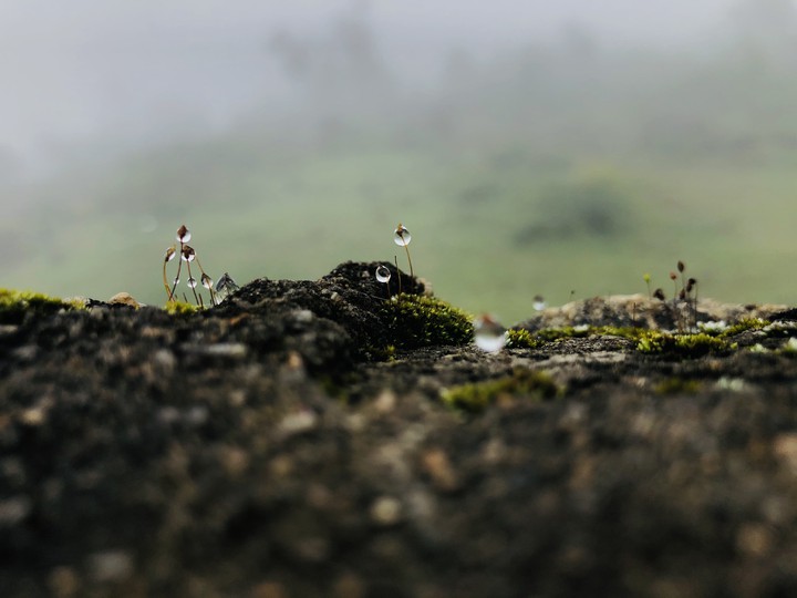water drops