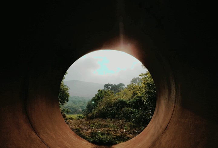see through nature