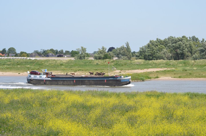 Riverboat