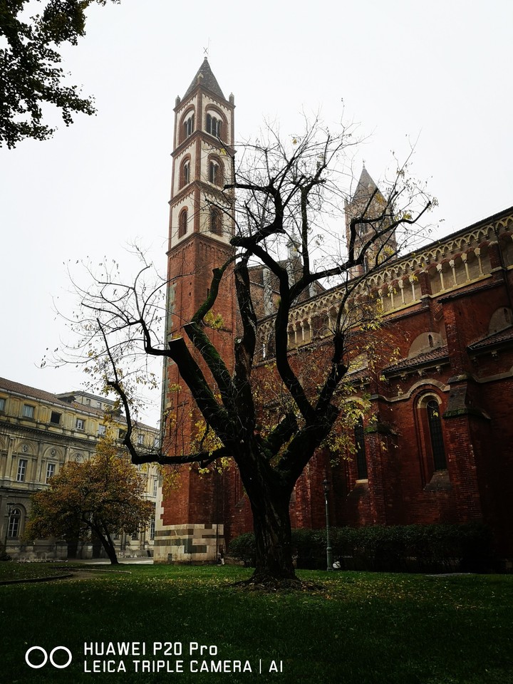 cattedrale s.andrea