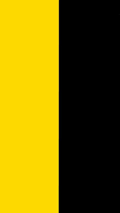 black and yellow