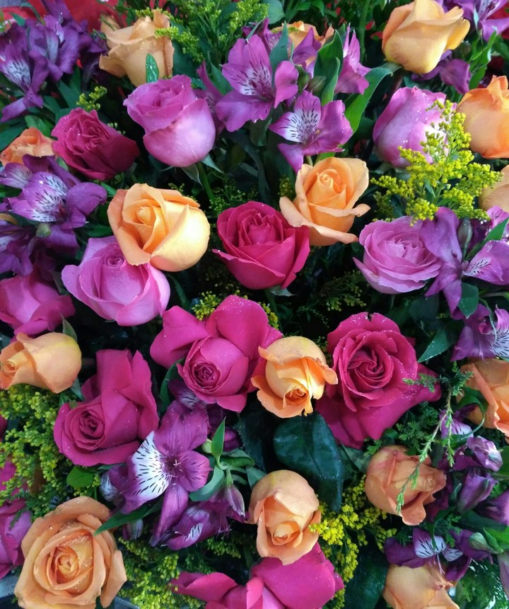 flowe