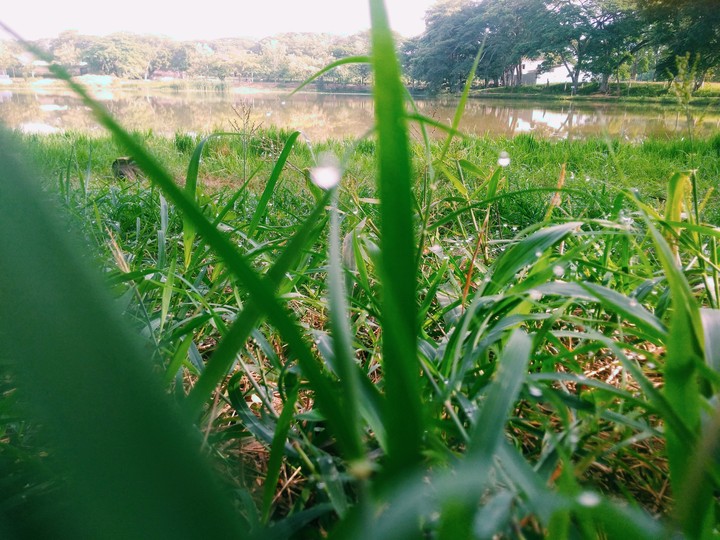 Lago de Bonanza