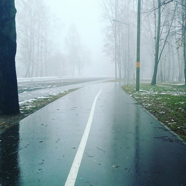 Foggy morning