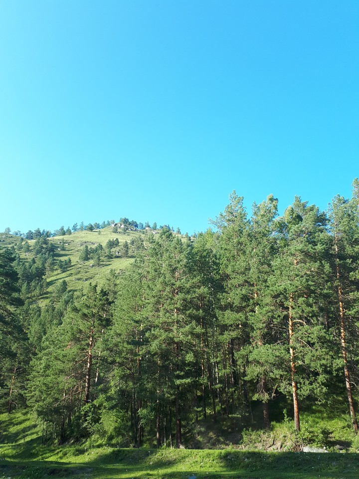Красоты Алтая