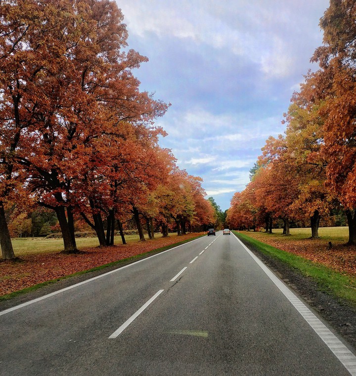 Beautiful Autumn