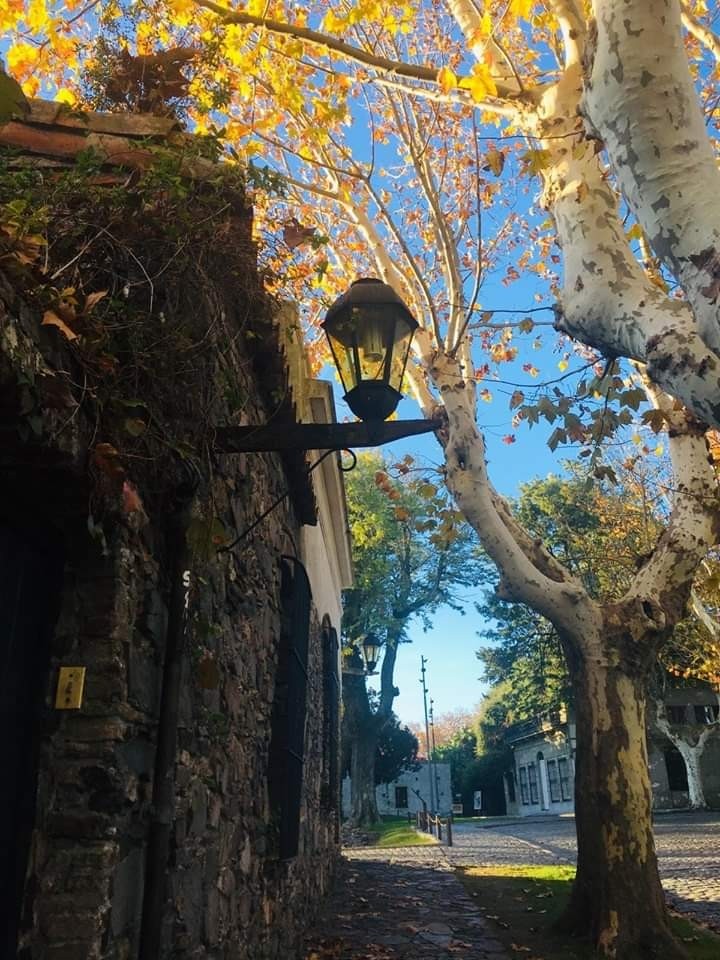 Colonia del Sacramento