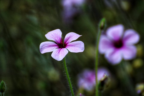Unknown name